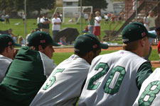 Provo dugout